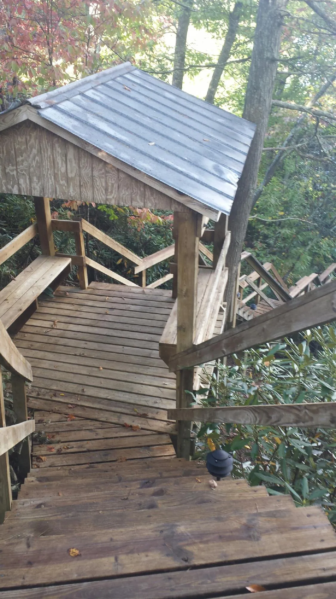 Metal roofed shelter over wooden steps on a wooded walkway — Skylight Repair & Installation work by our crew in Docena